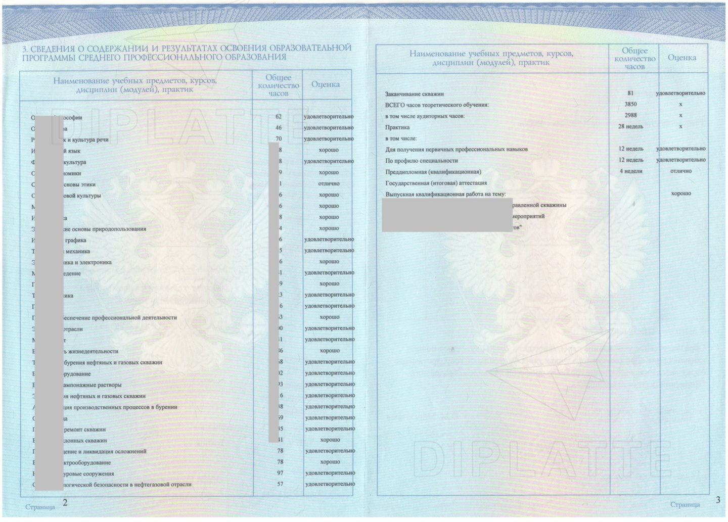 Предметы диплома Пермского нефтяного колледжа, выданного в 2014 году